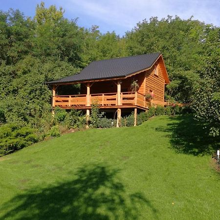 Villa Eden Ślesin Exteriér fotografie