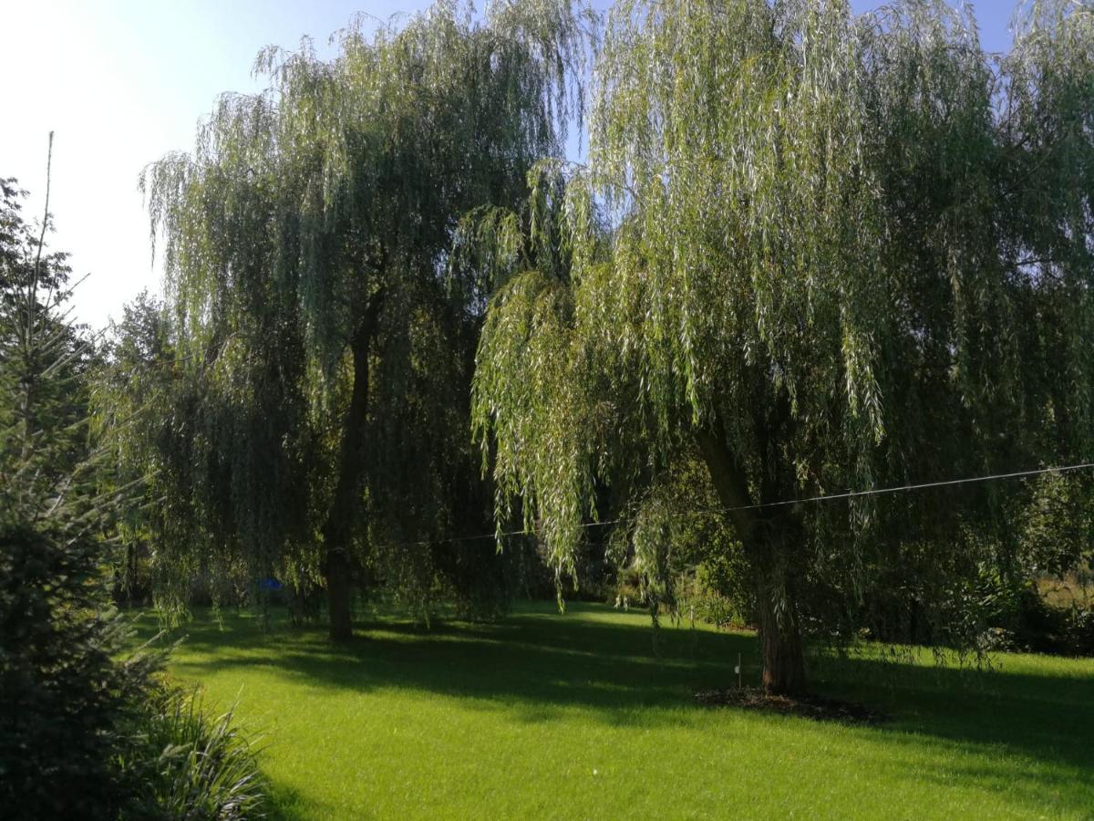 Villa Eden Ślesin Exteriér fotografie